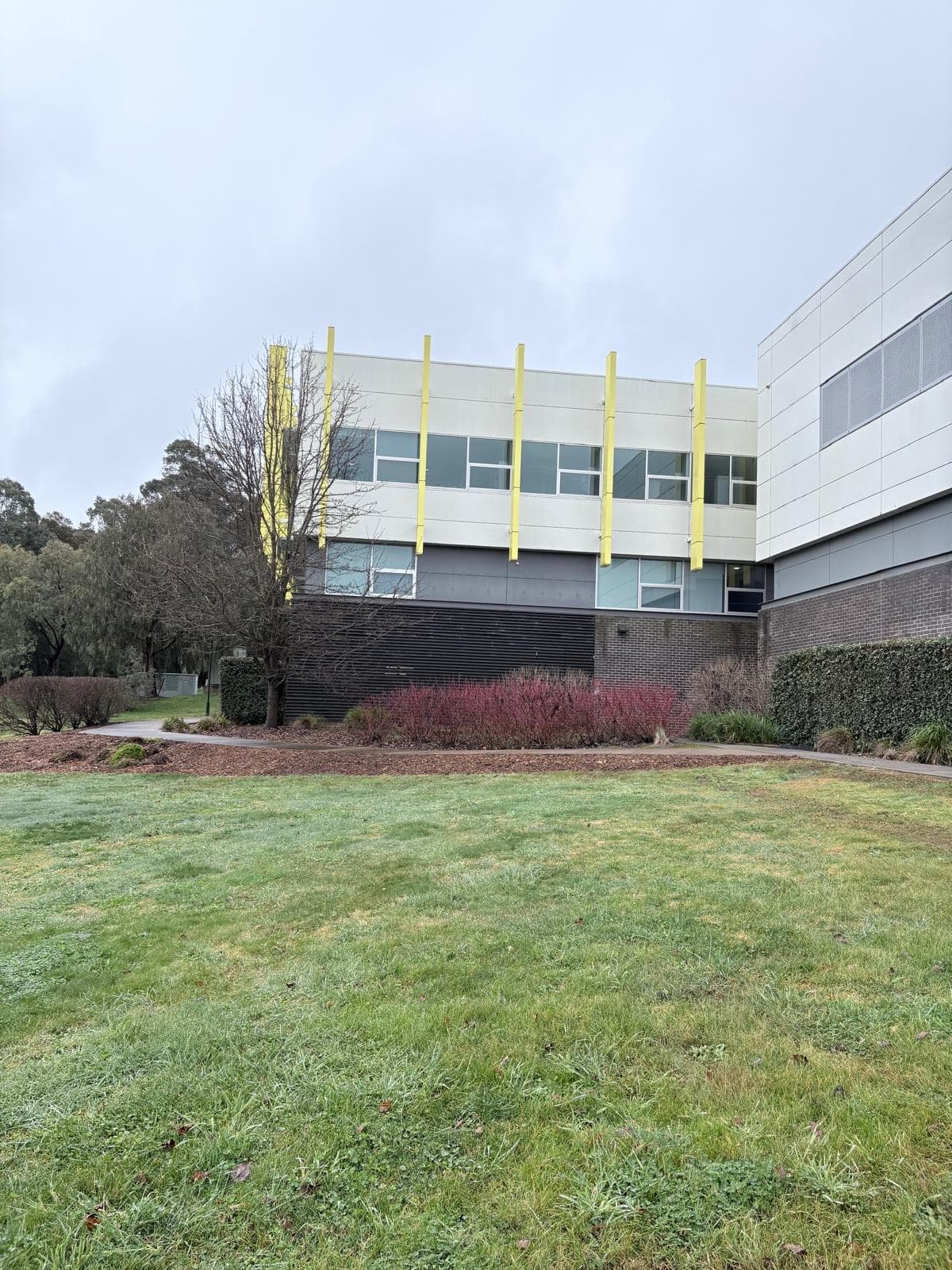 Rear elevation of building 1006 at Charles Sturt University Orange with repainted yellow fins and dark grey slatted screening