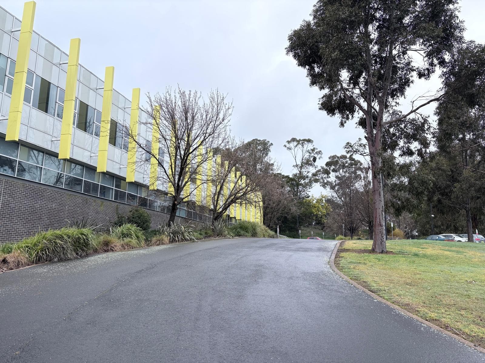 Charles Sturt University Orange campus building repainted by Murrays Painting, white composite panel cladding with yellow vertical fins along the glazed elevation