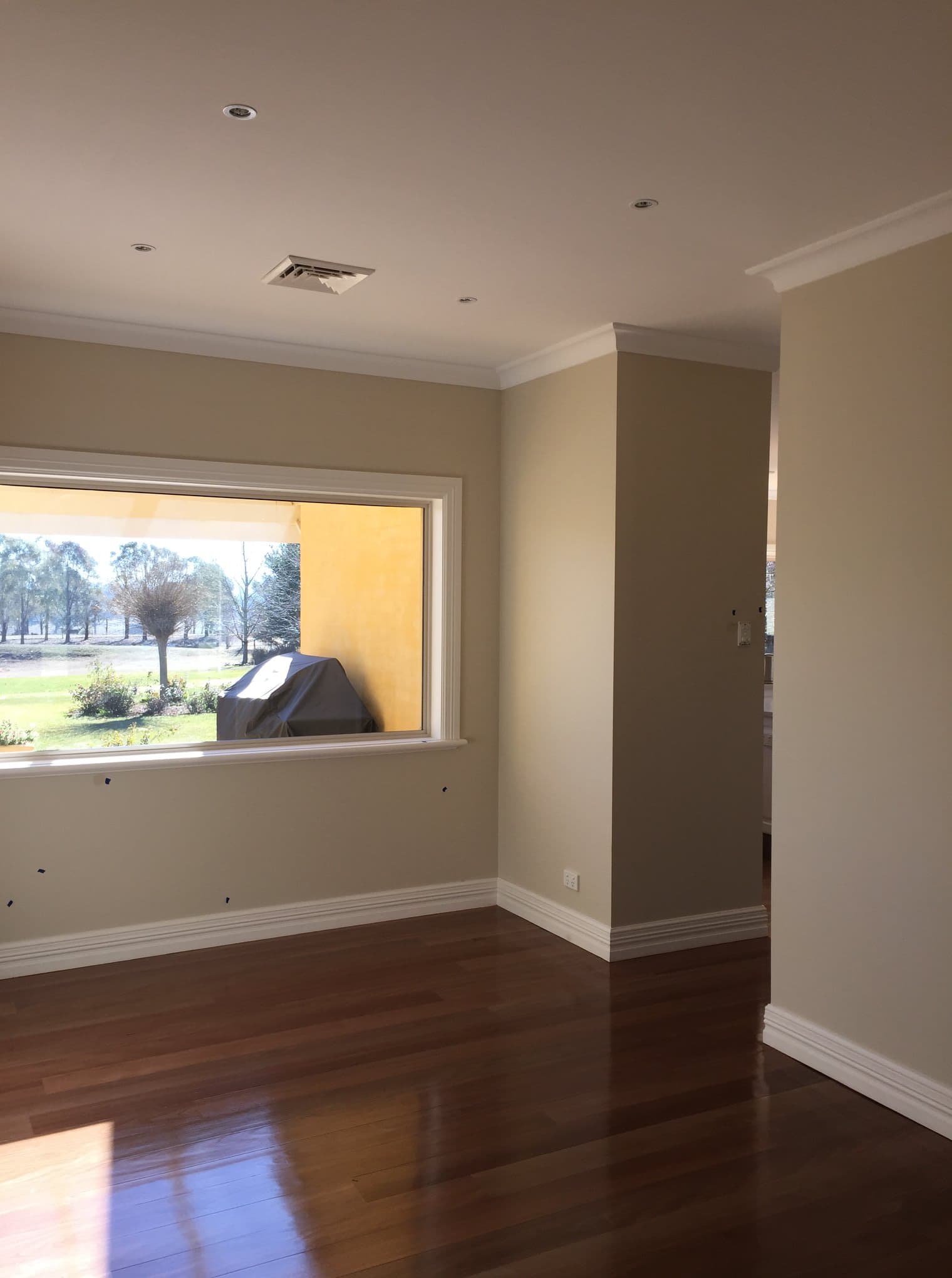 Living room with sage walls