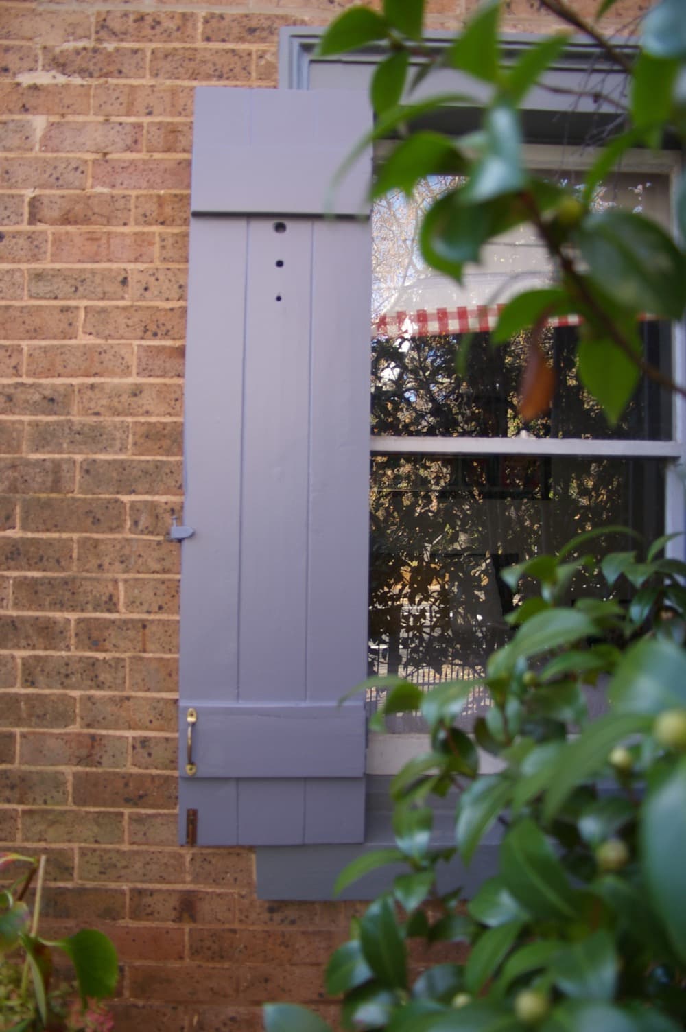 Painted lavender window shutter